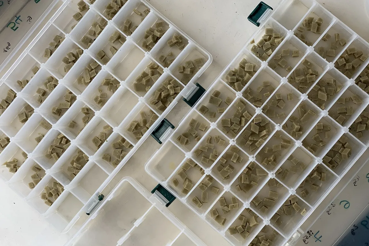 2 F634648 D84 B 44 CB 96 A0 536 E4 F9 D88 A0 1