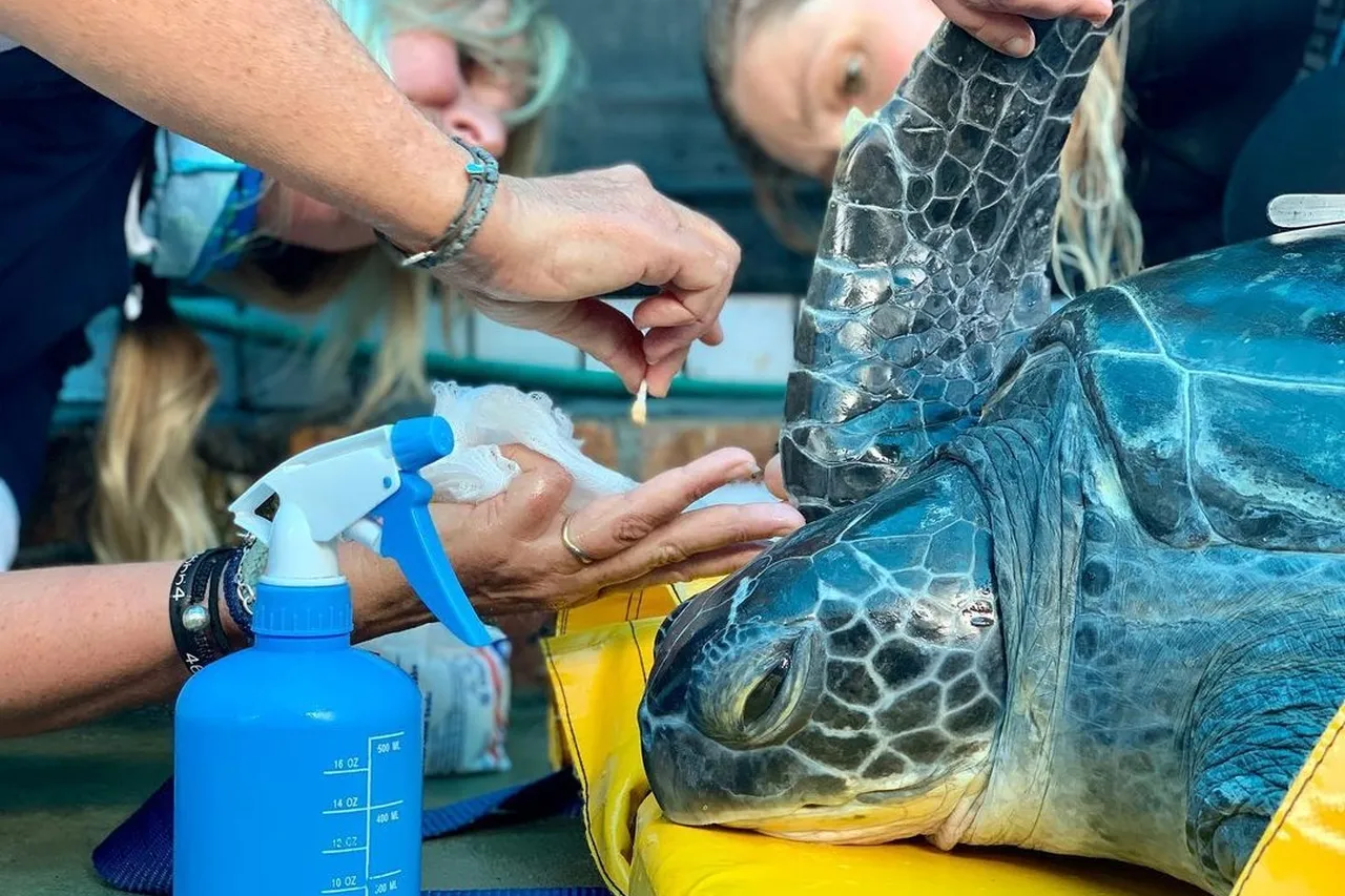 Aquariumfoundation 241313922 180399687530629 1049053725505829146 n