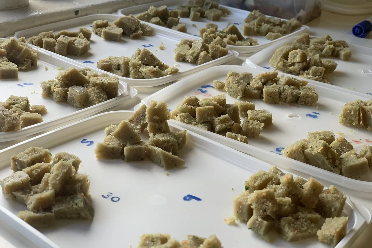 Turtle blog 5 things 7