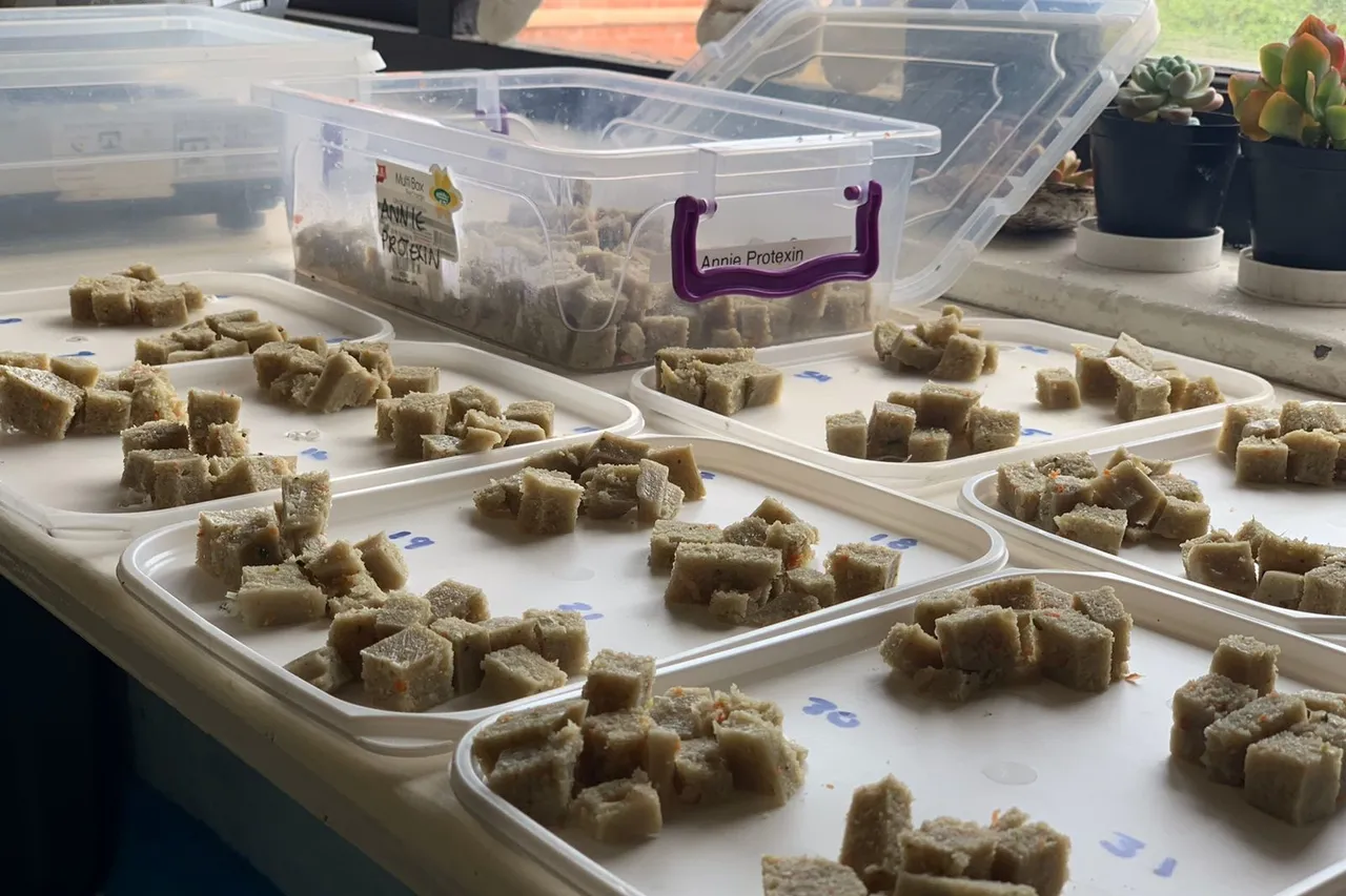 Turtle Food M Viljoen 7