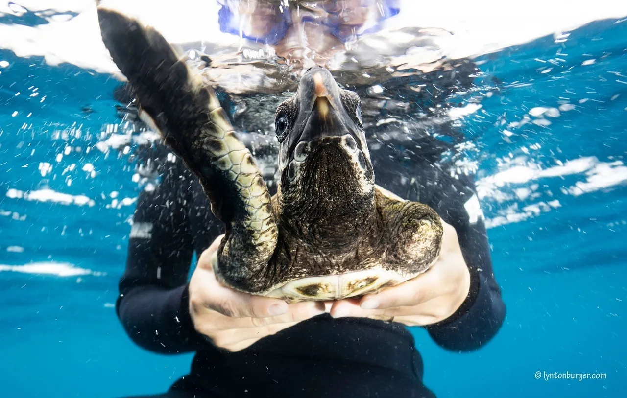 Highlights of 2020: looking back on an "interesting" year