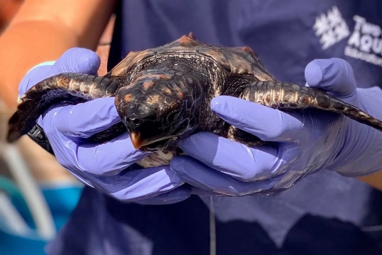 129748159 313505163108454 2871167607587952972 n