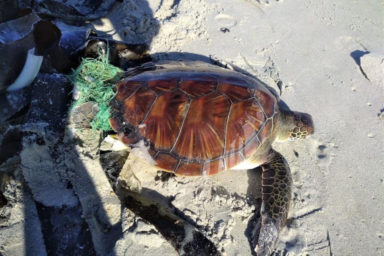 20200612 093240000 i OS