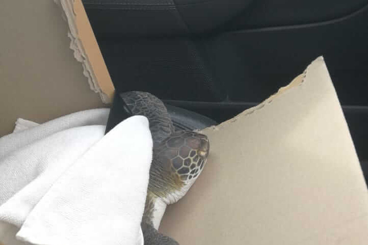 20200613 092458000 i OS