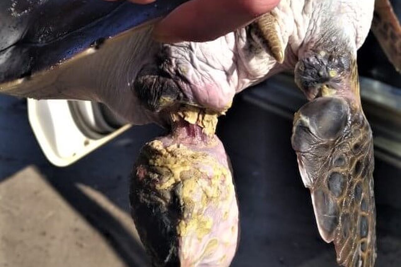 20200612 093241000 i OS