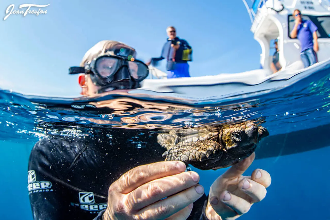 DSC 6945 edit SMALL 1