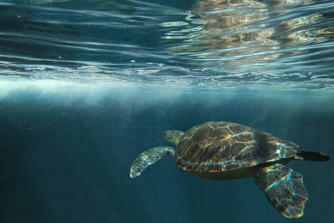 8 Wrapped In Blue Healing Love