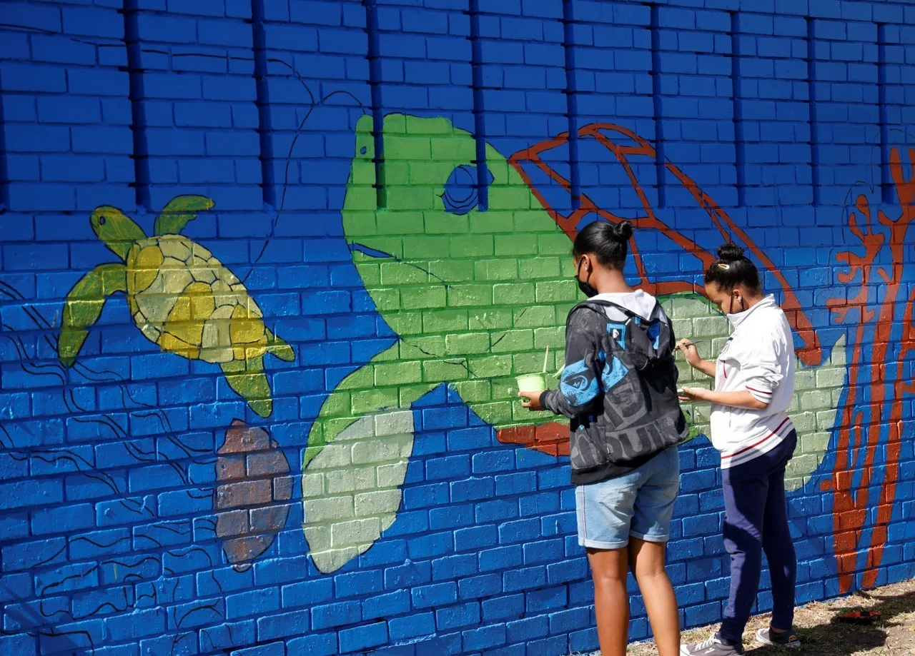 Bob the turtle features on new mural at seapoint's pavilion rotary park: what inspired its design?