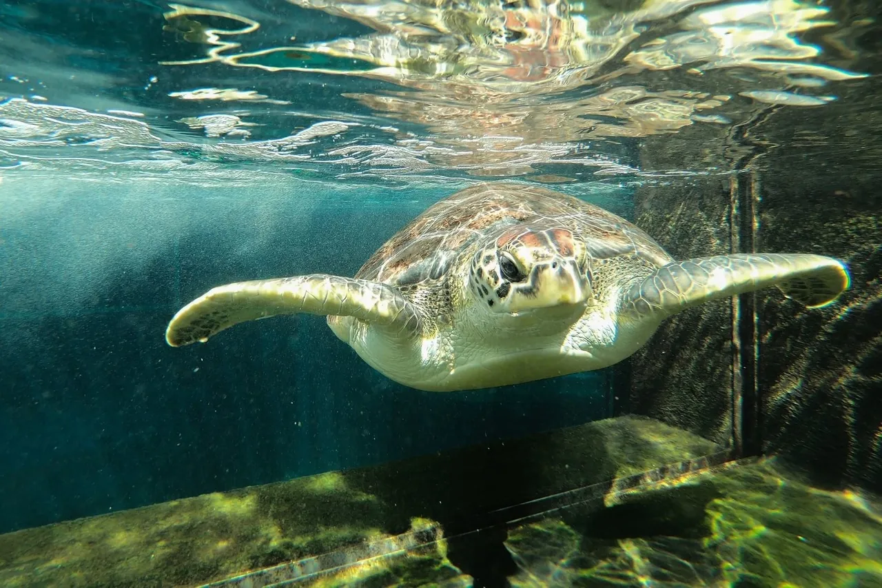 4 Reflective Bobbing