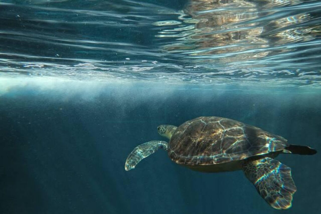 8 Wrapped In Blue Healing Love 750 500 70