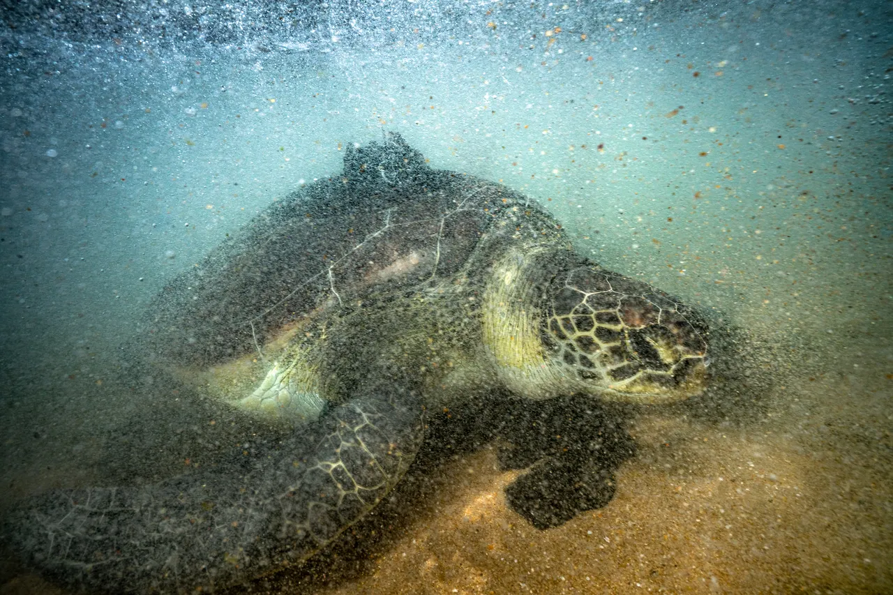 Bob202301271609 Edit 2 copy