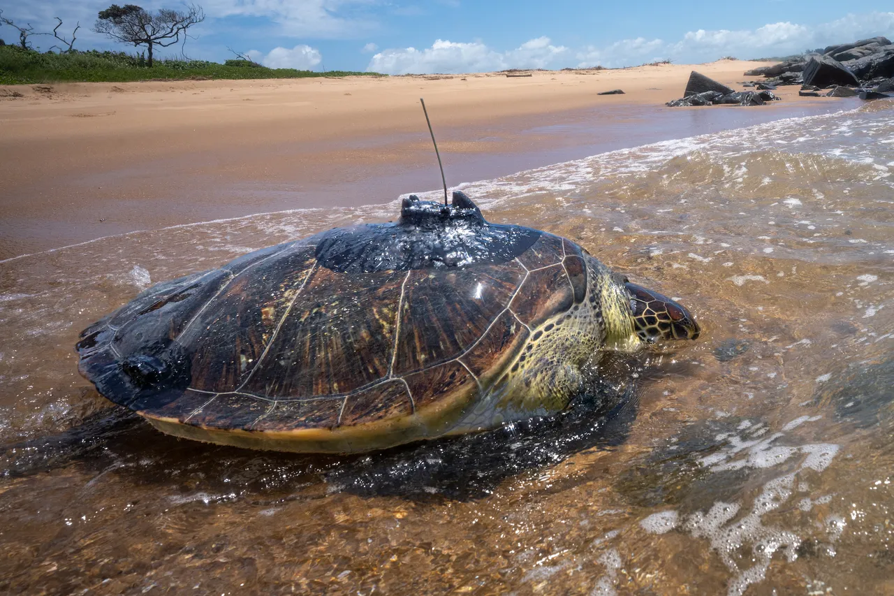 Bob202301271556 copy