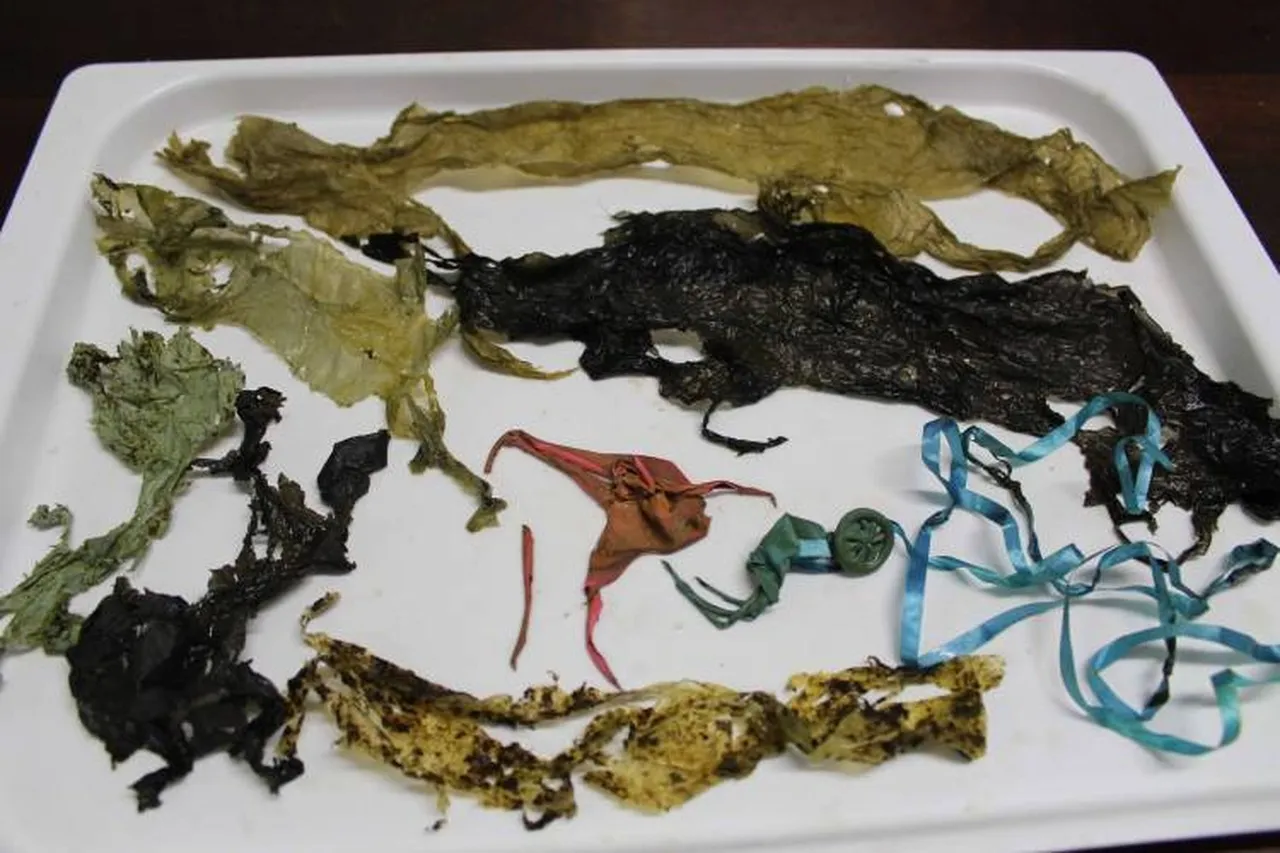 Balloons in bob 750 500 70