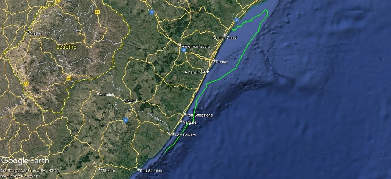 Tracking Bob: Turtle speed record?