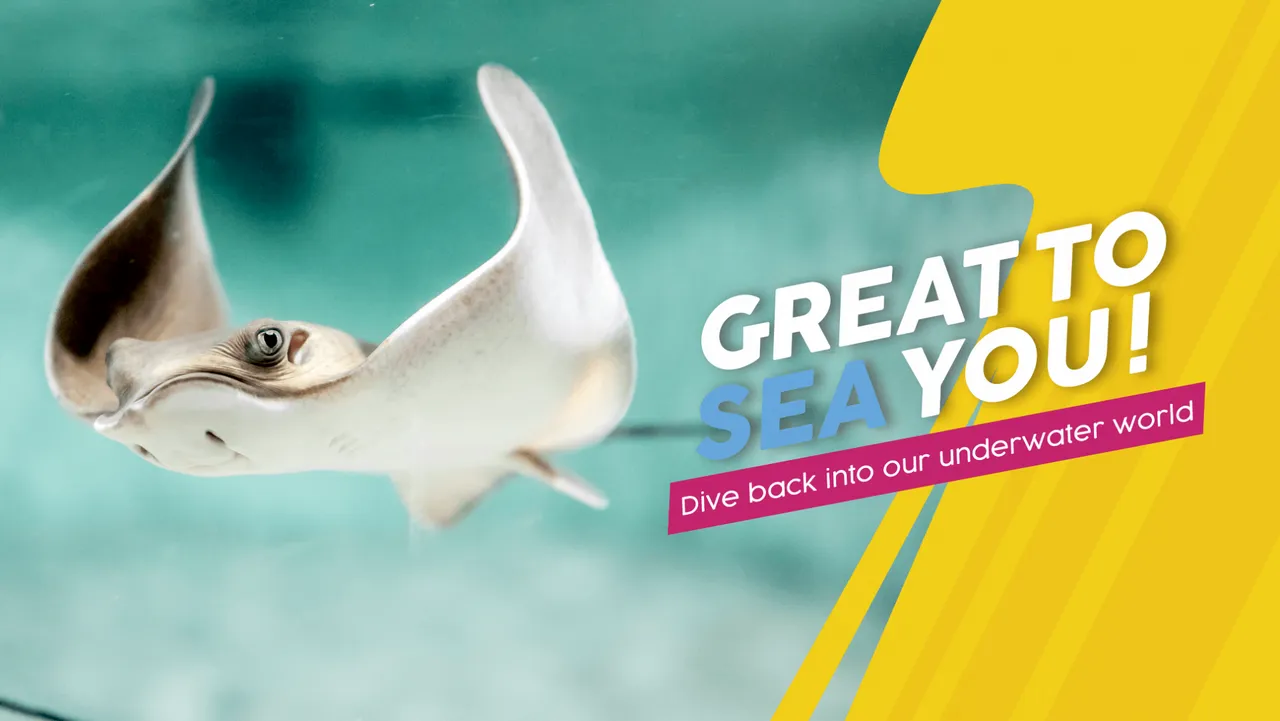 We are reopening - and our members can come a little earlier! what do you need to know?