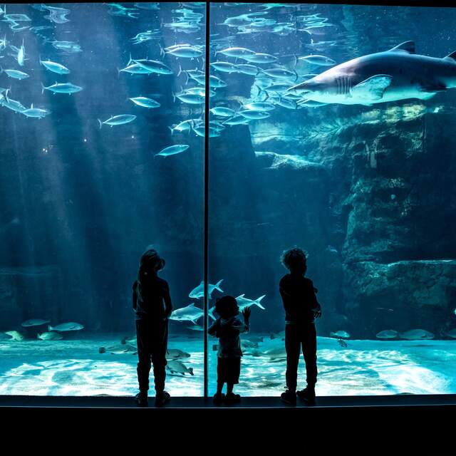 Two Oceans Aquarium Membership