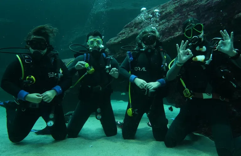 Diver24: UCT divers attempting 24-hour diving relay for a good cause this weekend!
