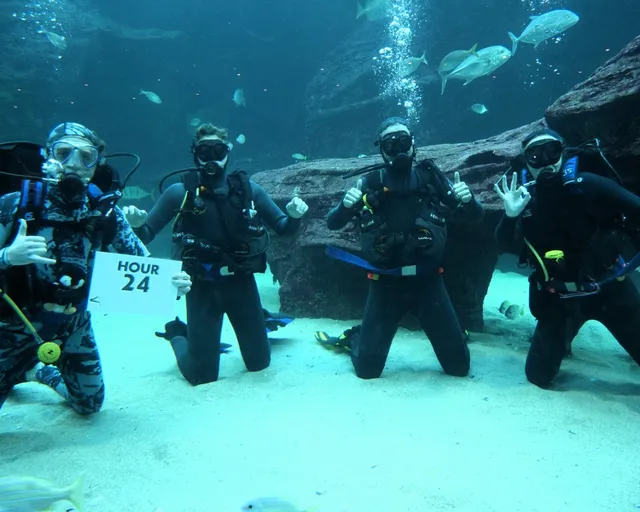 Diver24: UCT divers attempting 24-hour diver relay for a good cause!