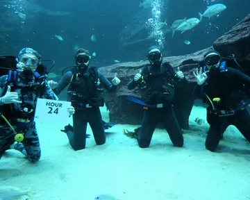 Diver24: UCT divers attempting 24-hour diving relay for a good cause this weekend!