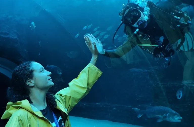 Diver24: UCT divers attempting 24-hour diving relay for a good cause this weekend!