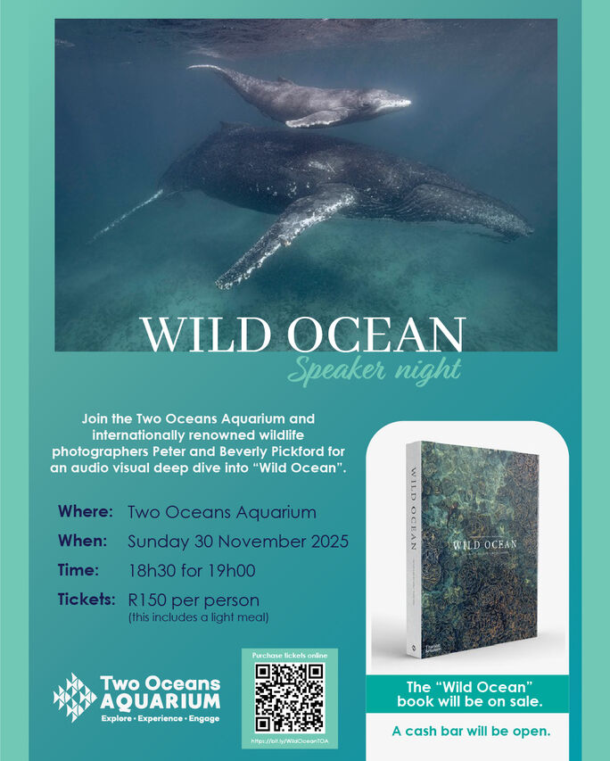 WILD OCEAN INVITATION 3 2 100