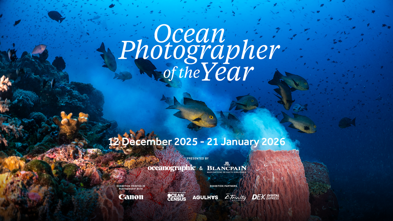 OPY 2 OA 1920x1080 7