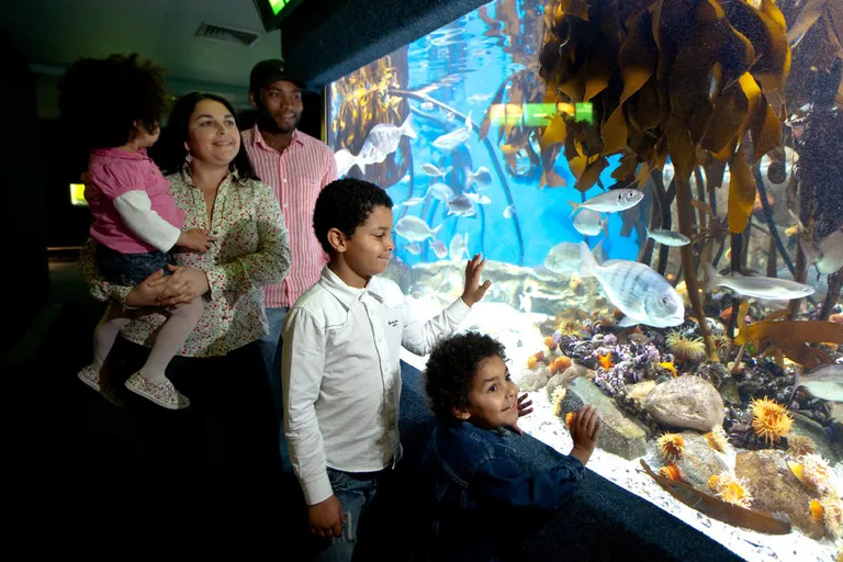 Diversity Gallery