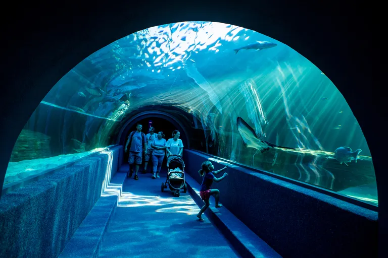 Ocean Exhibit