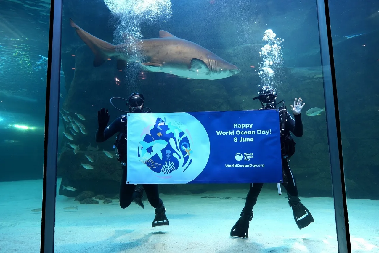 It's world ocean day and we're joining organisations around the world to celebrate