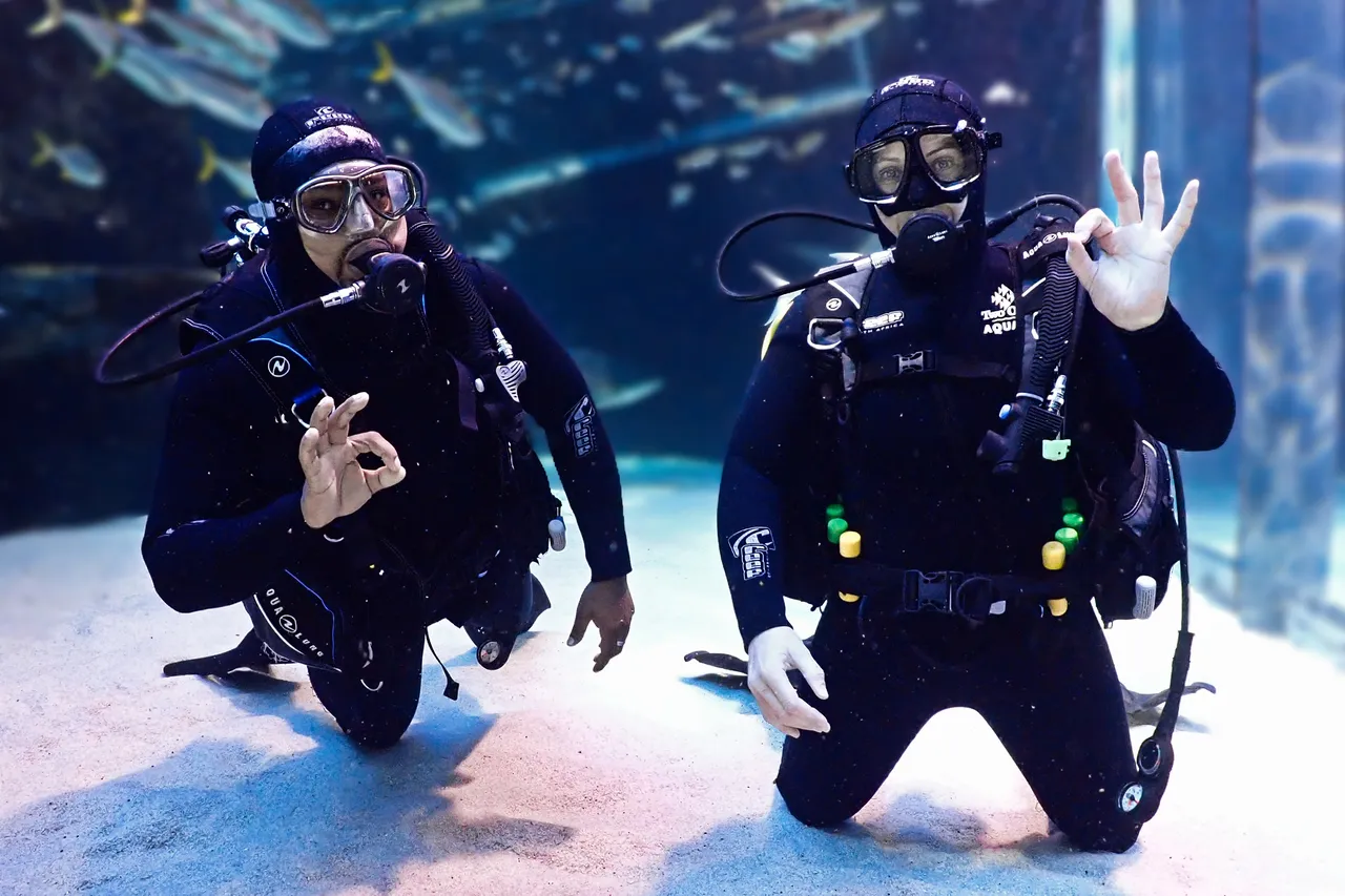 Scuba divers underwater at the Two Oceans Aquarium