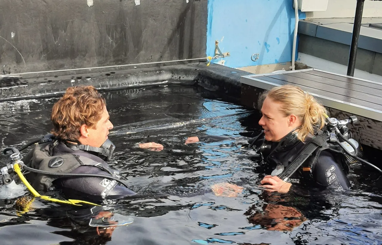 The Two Oceans Aquarium is officially a PADI Five Star Dive Center