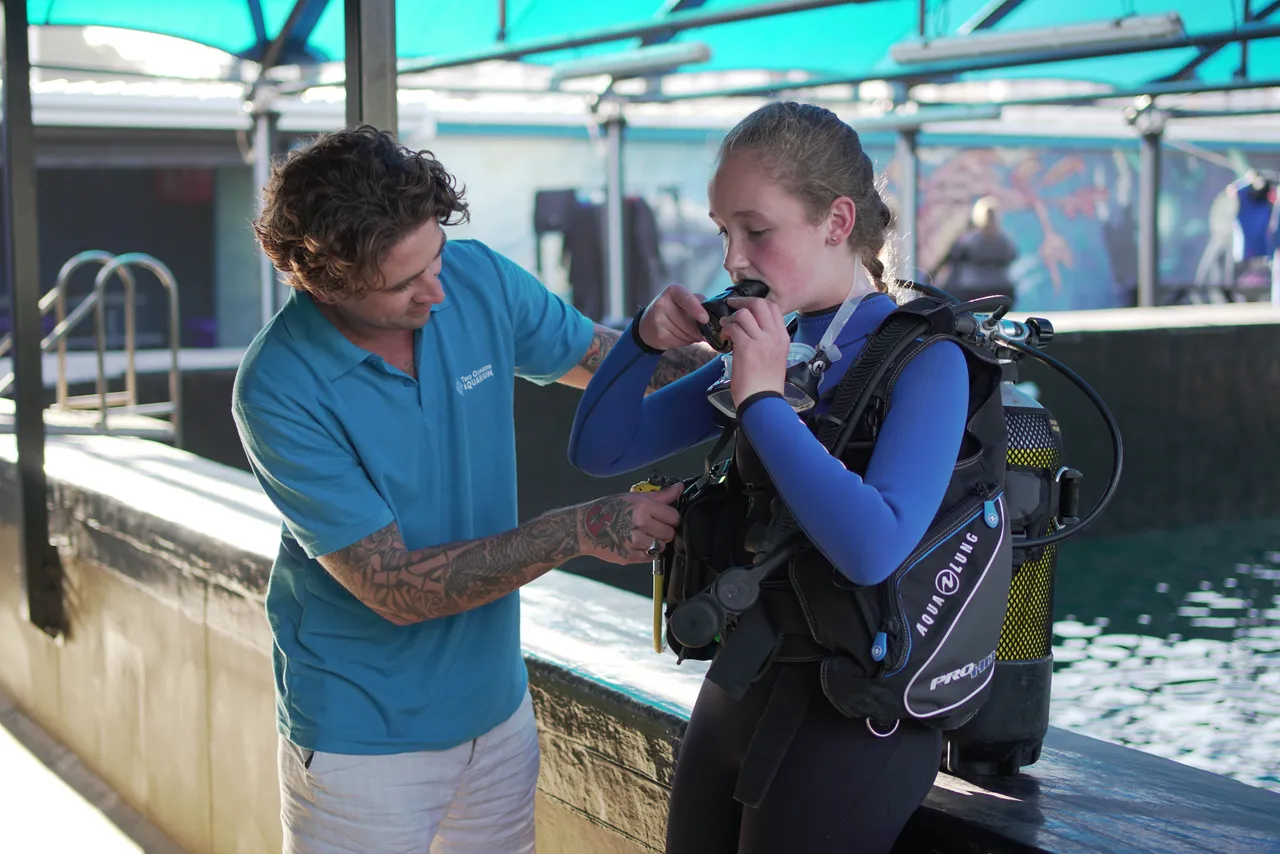What do you learn during a padi scuba diver course?