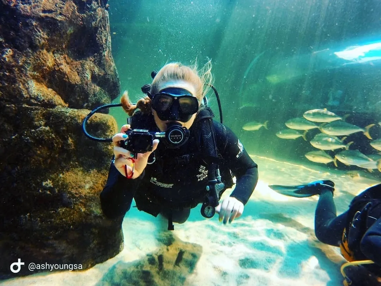 What's it like to scuba dive at the two oceans aquarium?