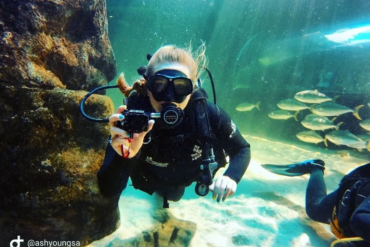 Ashyoungsa 47690315 2274768452769470 3421617462762449703 n