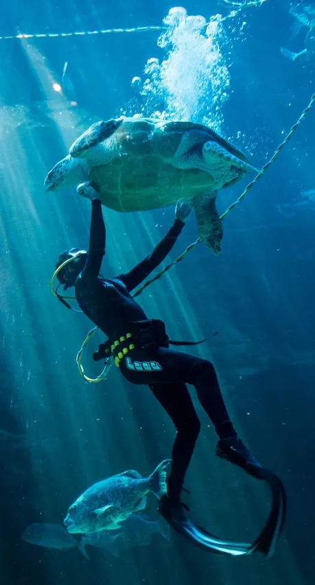 24867564578 a5abff05bf o