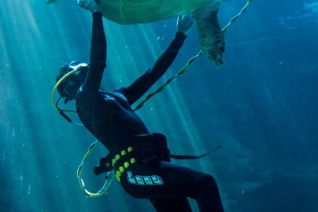 24867564578 a5abff05bf o