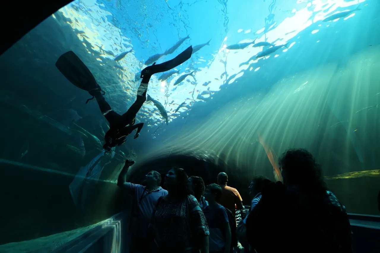 28728120975 eaf6d73668 k