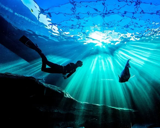 PADI Freediver Course