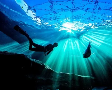 PADI Freediver Course