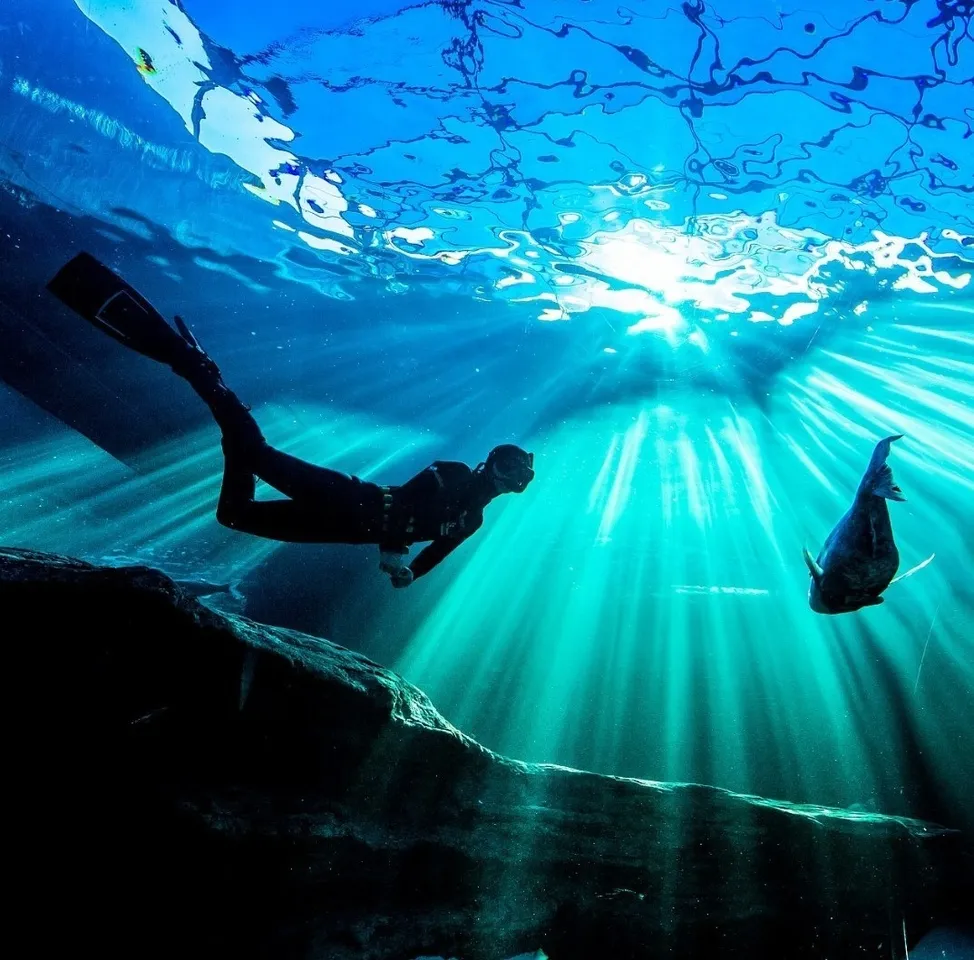 Freediving at the Two Oceans Aquarium