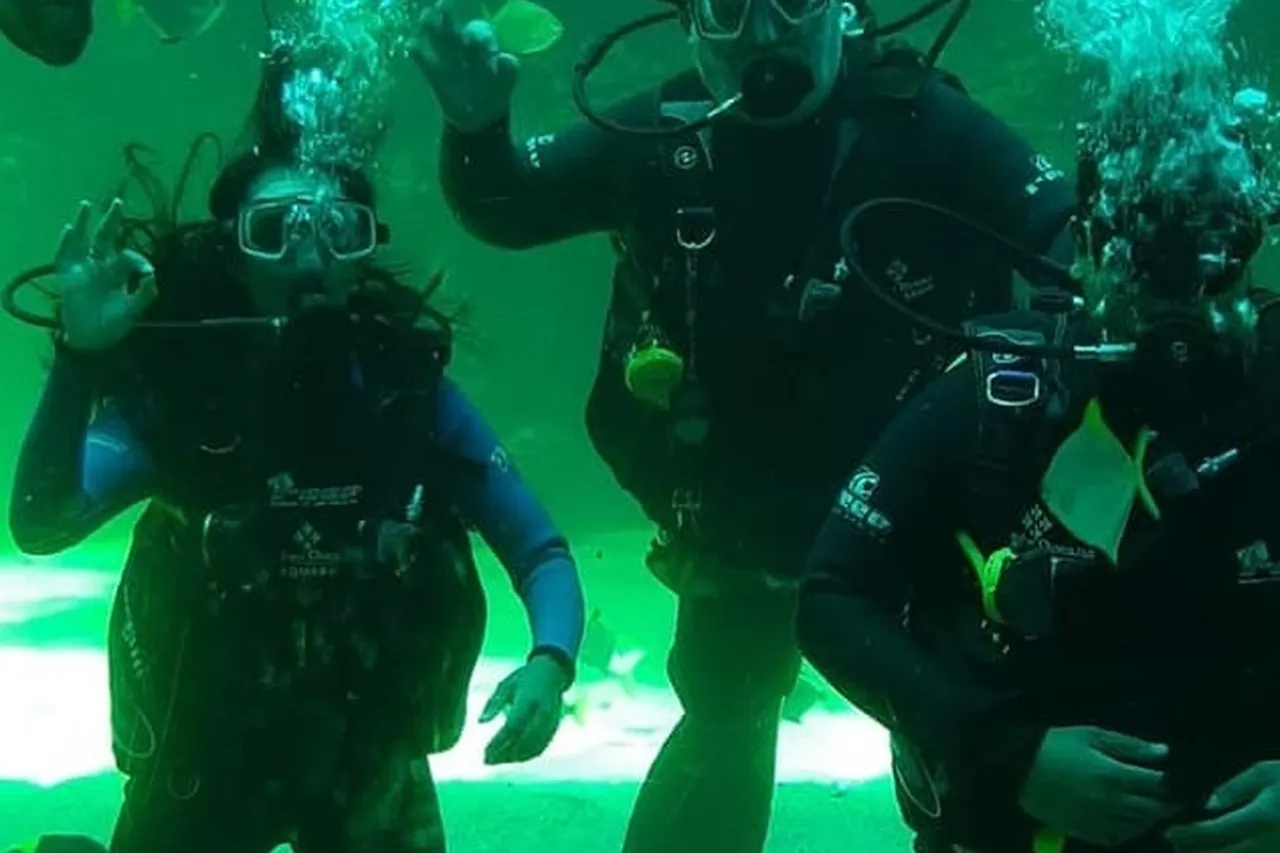 174777381 teacher dive 1