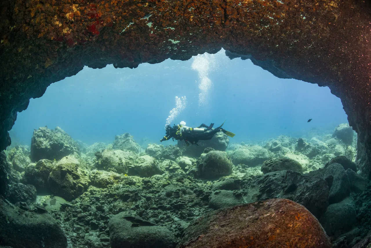 PADI Underwater Naturalist Course