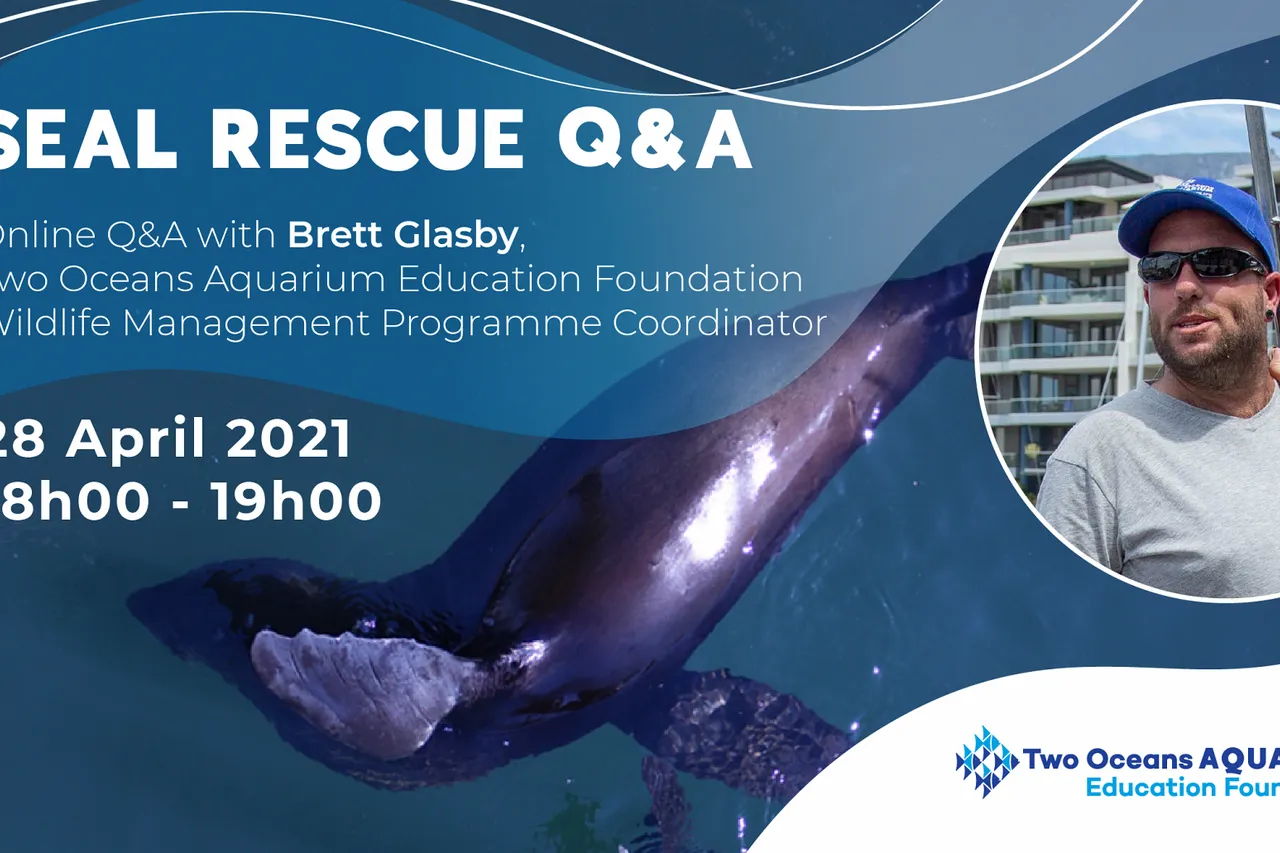 Seal Webinar Facebook