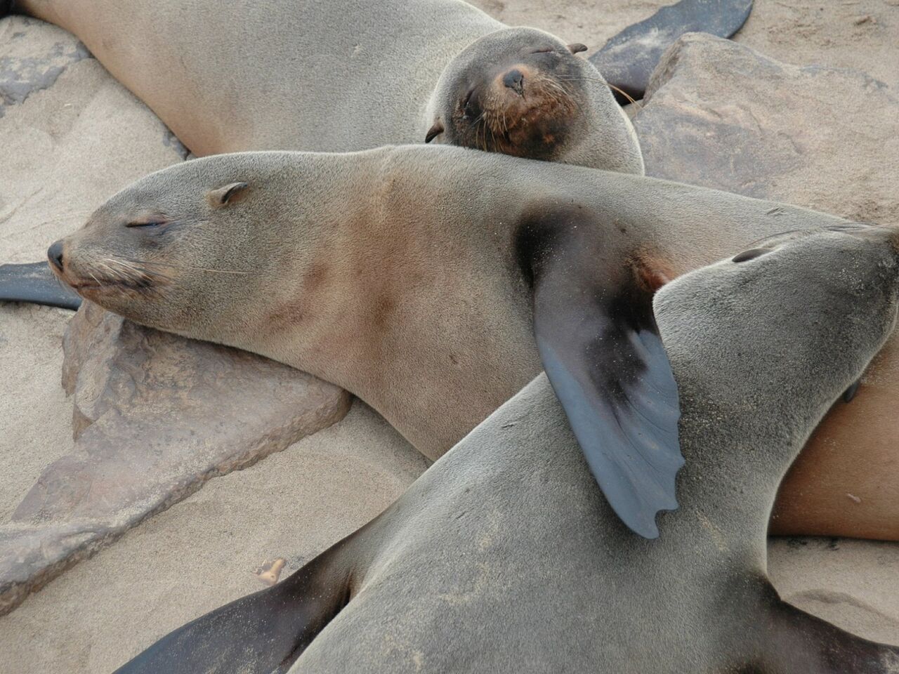 Conservation and care