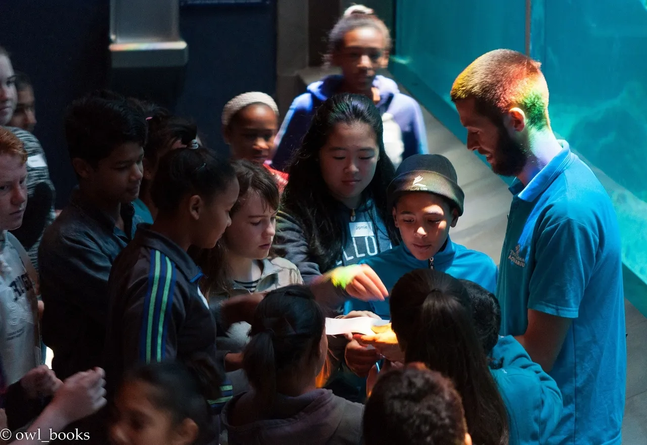 Applications open: free grade 7 smart living course