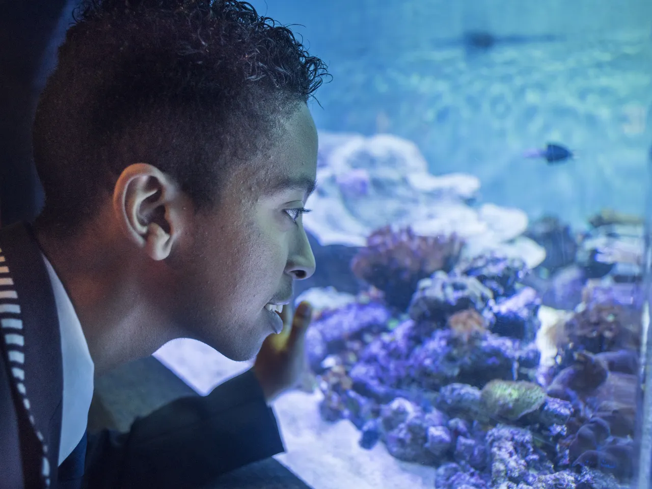 Education and outreach