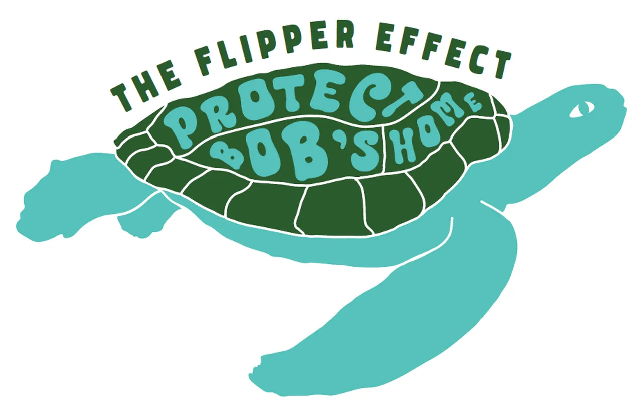The Flipper Effect Logo