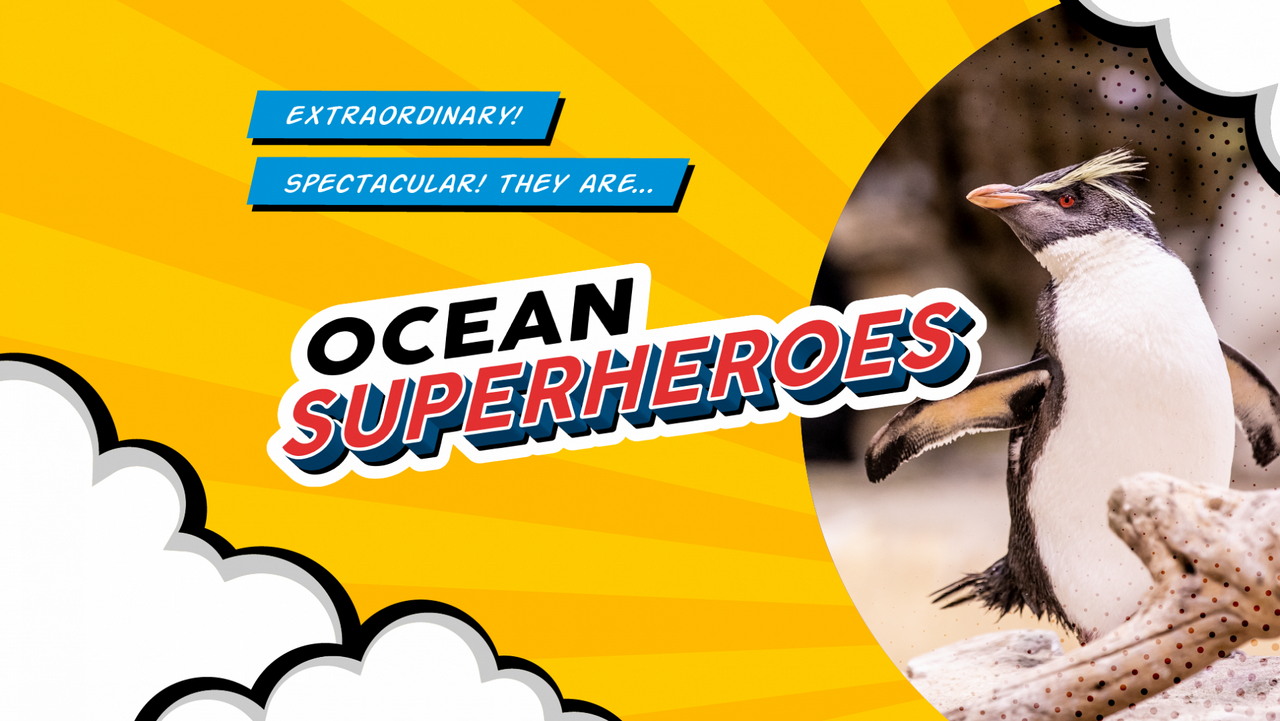 Ocean superheroes: discover animal superpowers at the two oceans aquarium (and become a sidekick)
