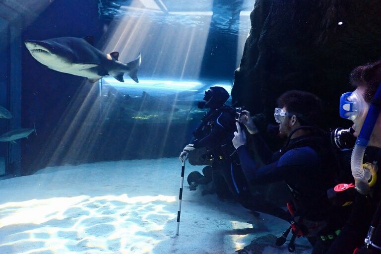 Two Oceans Aquarium 8 reasons to a two oceans aquarium member