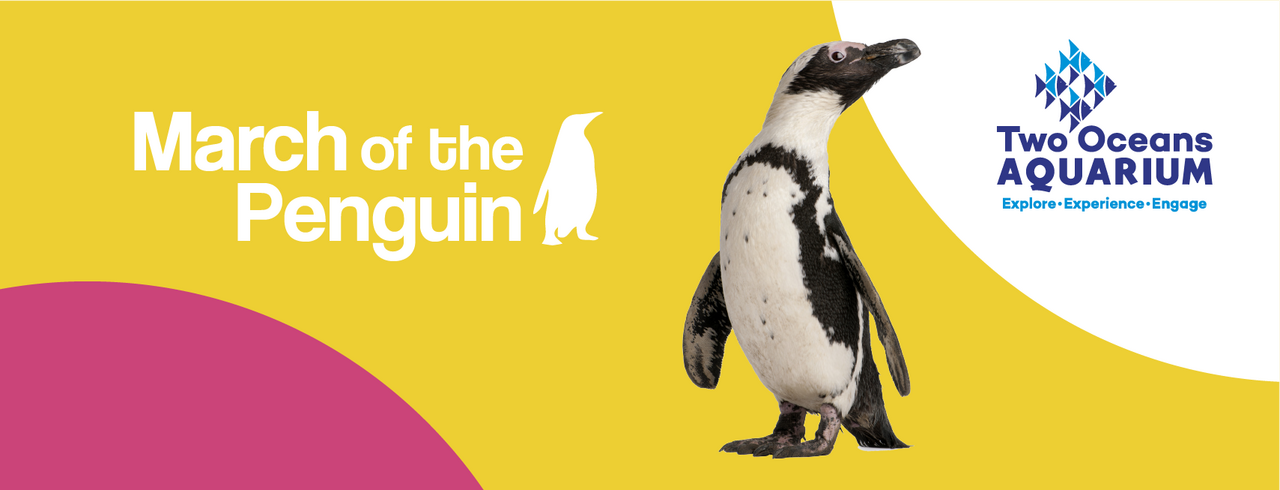 Become a member in march and you could win prizes worth r10 000!